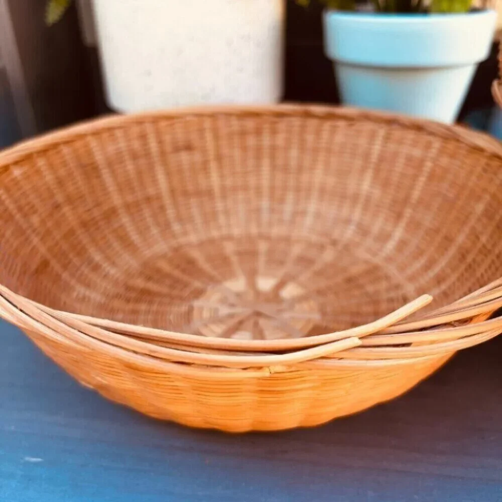 Woven Vintage Baskets Bowl Plants